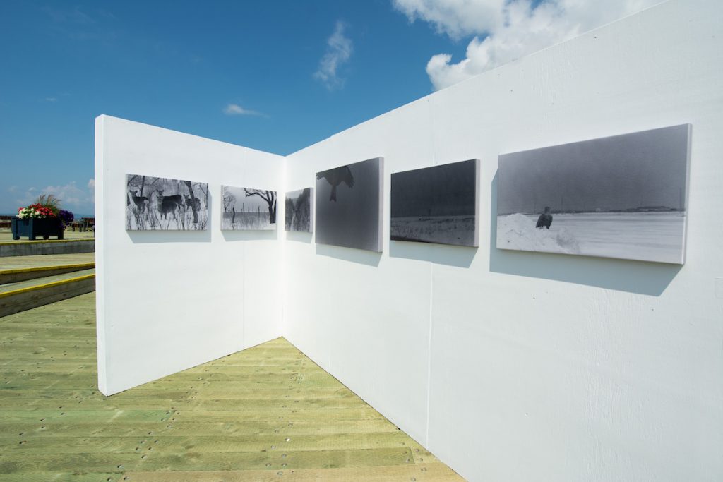 Vue de l'exposition Shikawatari (La traversée des cerfs) de l'artiste Chieko Shiraishi à Carleton-sur-Mer dans le cadre des Rencontres de la photographie en Gaspésie © Photogaspesie